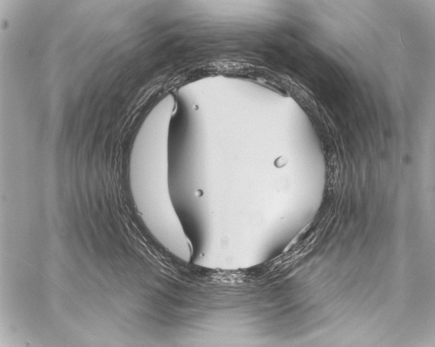 X0000057060762200510071406