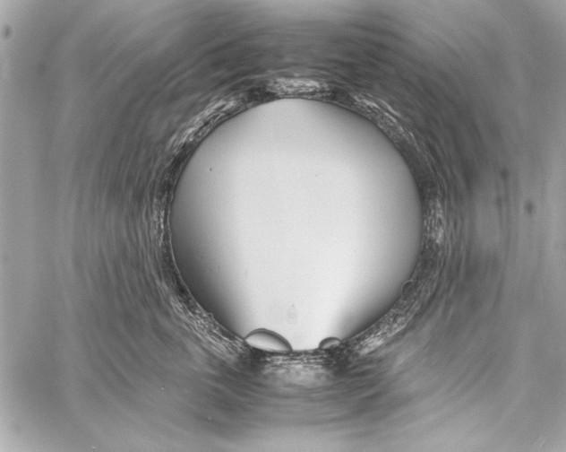 X0000057060763200510071406