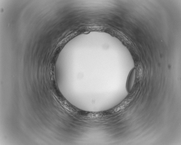 X0000057060764200510071406