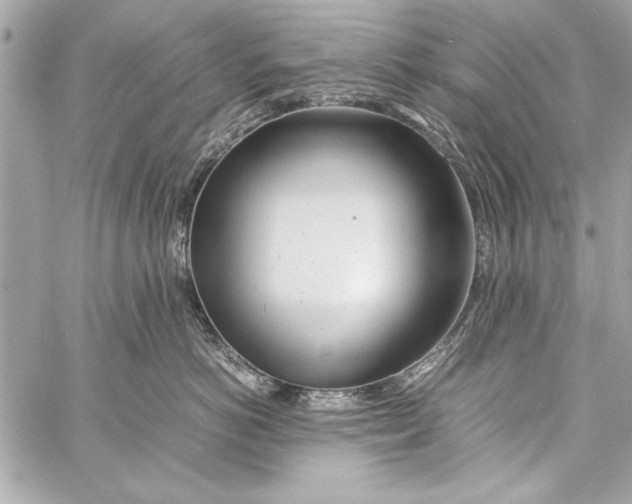 X0000057060766200510071406