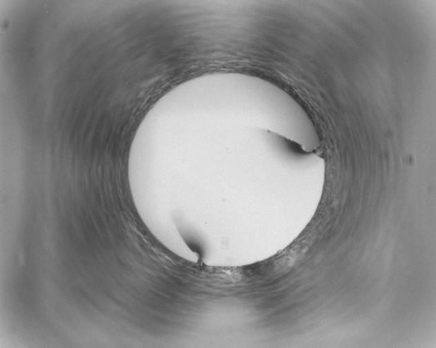 X0000057060768200510071406