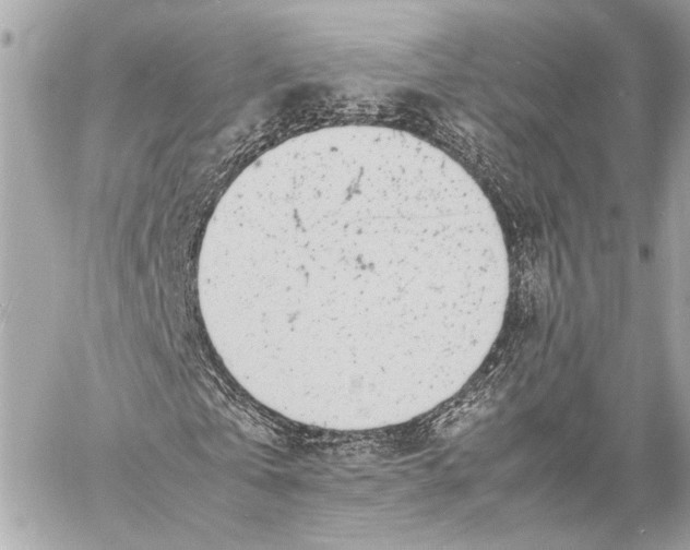 X0000057060769200510071406