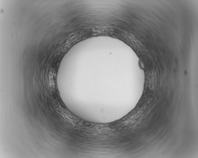 X0000057060770200510071406