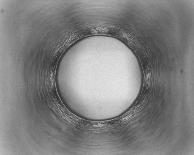 X0000057060772200510071405