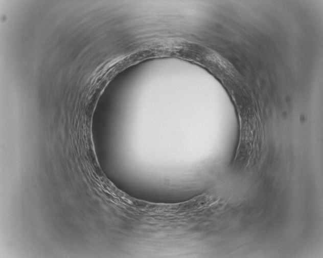 X0000057060773200510071405