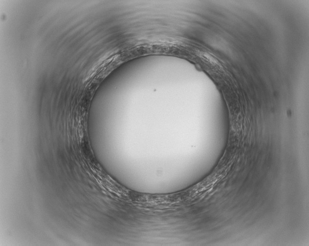 X0000057060774200510071405