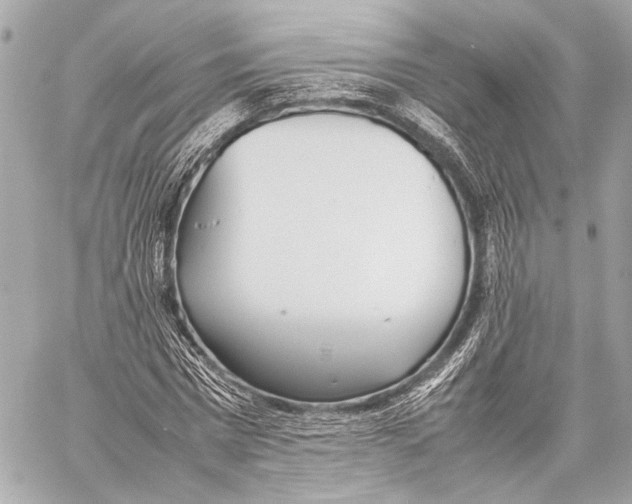 X0000057060777200510071405