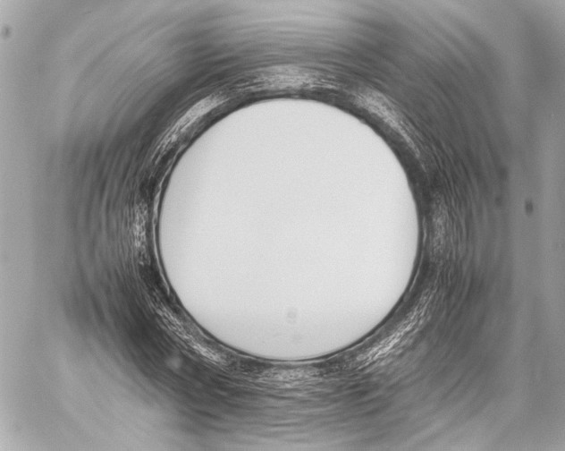 X0000057060778200510071405