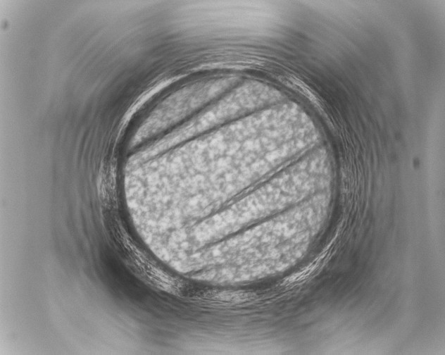 X0000057060779200510071405