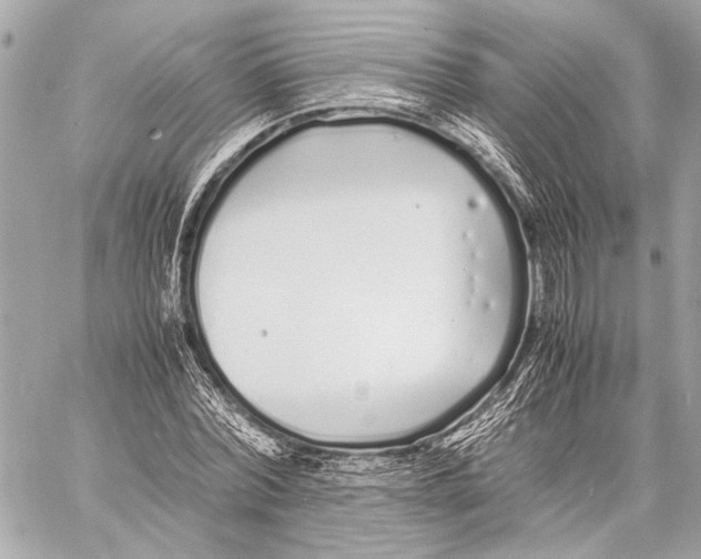 X0000057060780200510071405