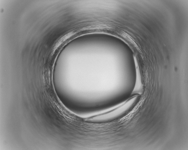 X0000057060781200510071405