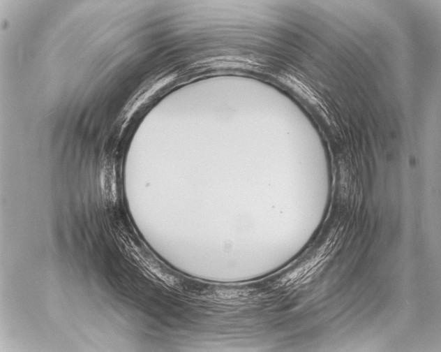 X0000057060782200510071405