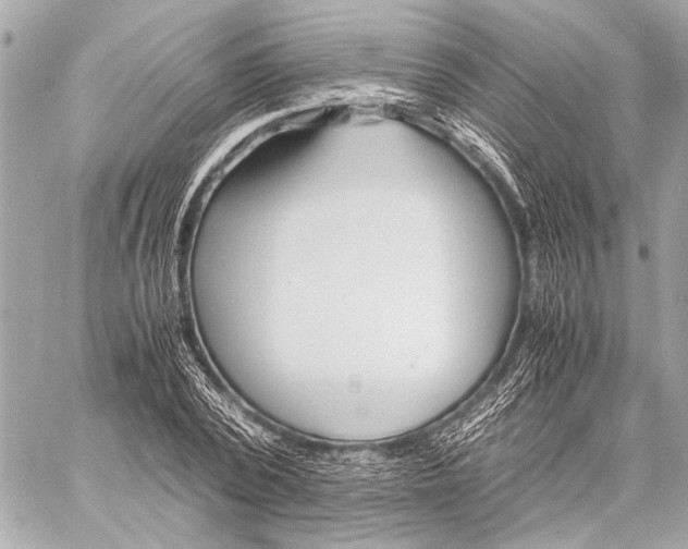 X0000057060784200510071405