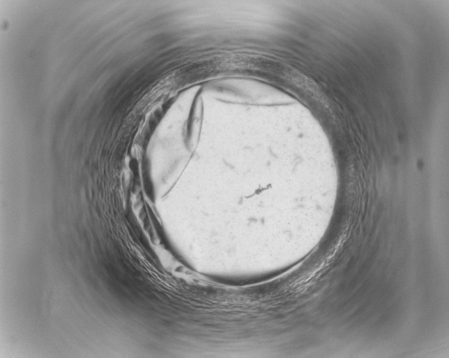 X0000057060785200510071405