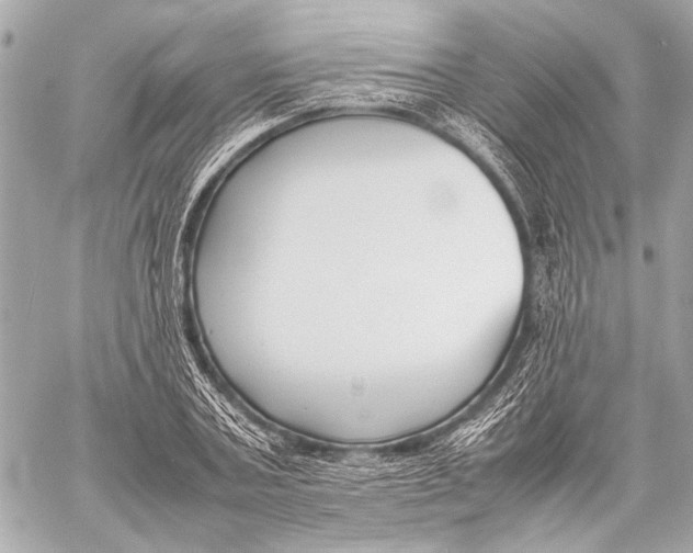 X0000057060787200510071405