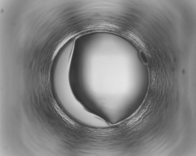 X0000057060788200510071405