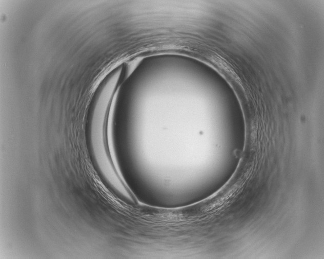 X0000057060789200510071405