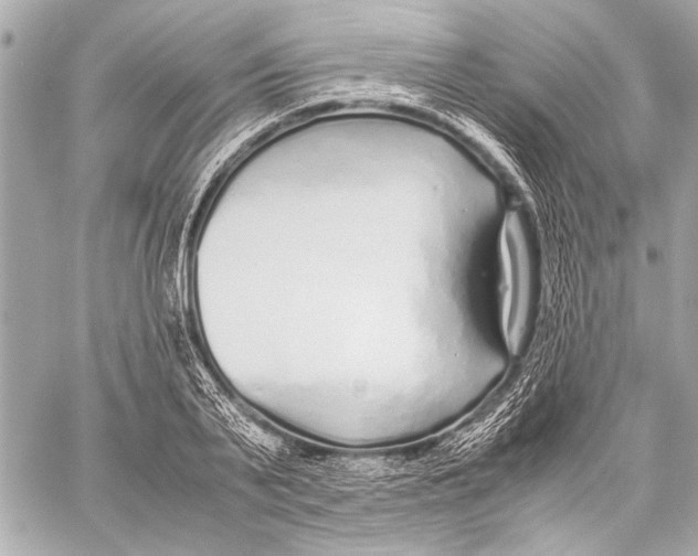 X0000057060791200510071405