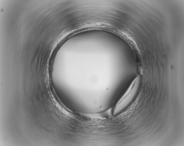 X0000057060792200510071405