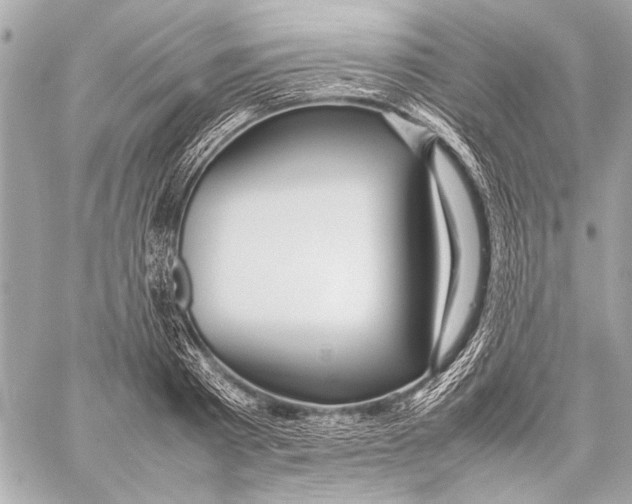 X0000057060793200510071405