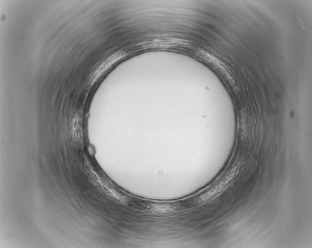 X0000057060794200510071405