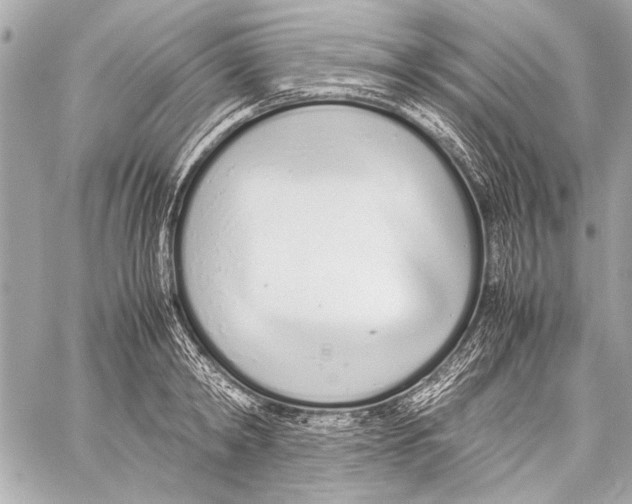 X0000057060798200510071405