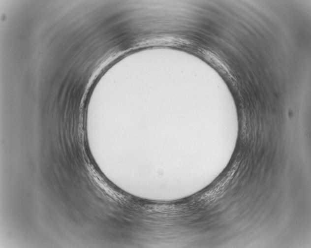 X0000057060800200510071405