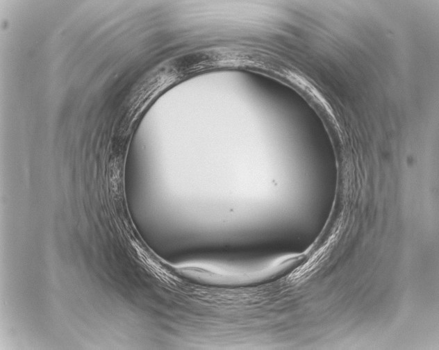 X0000057060801200510071405