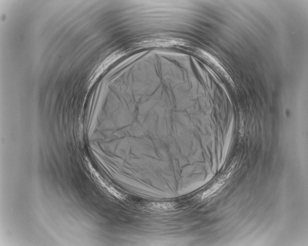 X0000057060802200510071405