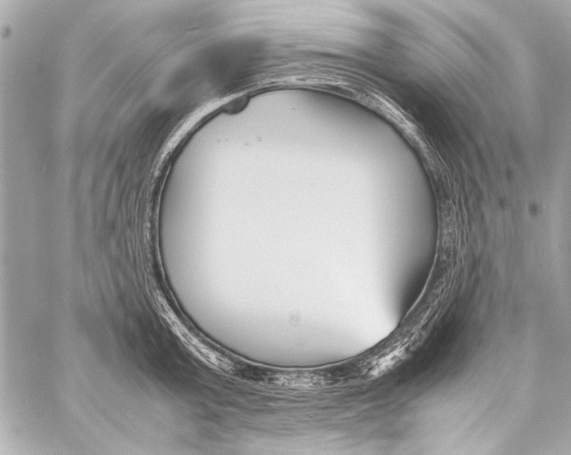 X0000057060803200510071405