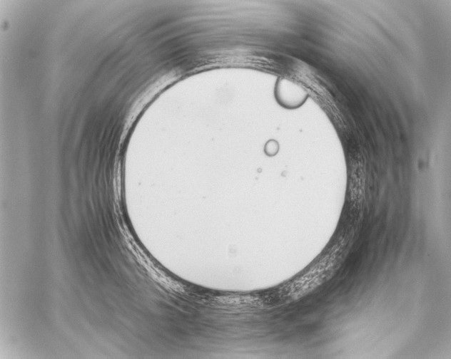 X0000057060804200510071405