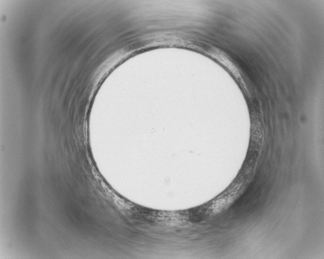 X0000057060807200510071405