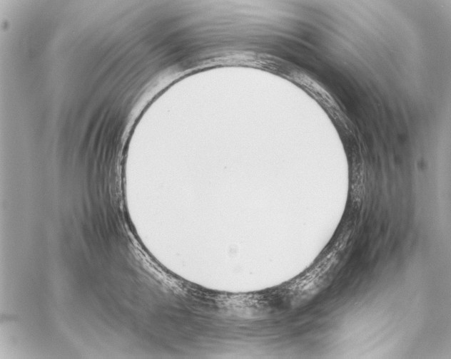 X0000057060808200510071405