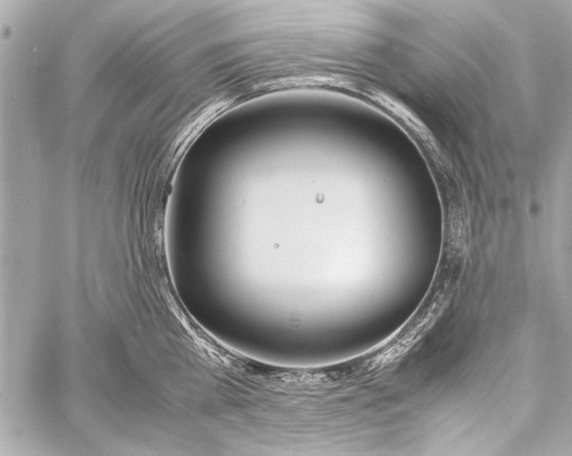 X0000057060809200510071405