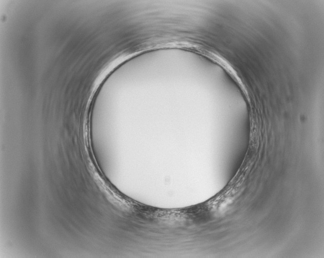 X0000057060811200510071405