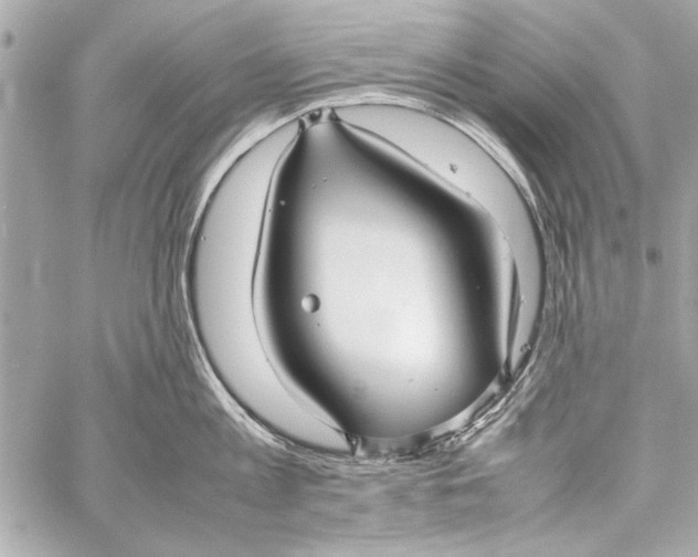 X0000057060813200510071405