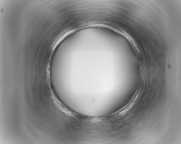 X0000057060814200510071405