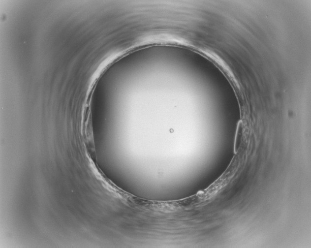 X0000057060815200510071405