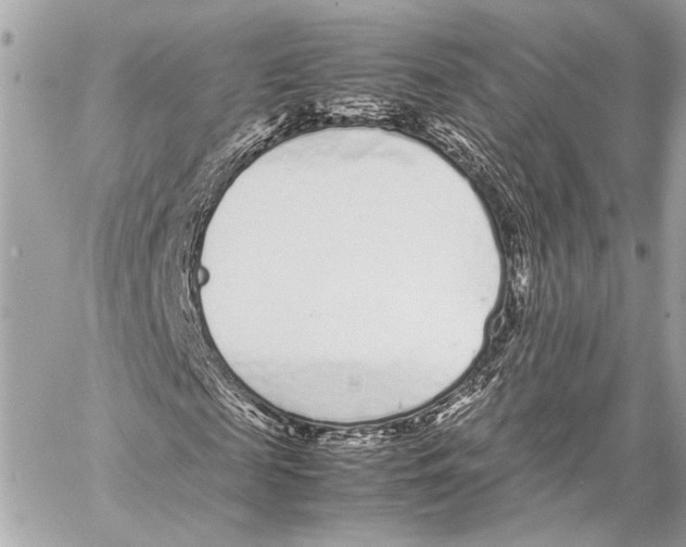 X0000057060817200510071404