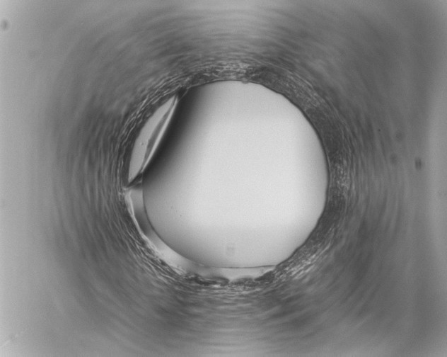 X0000057060818200510071404