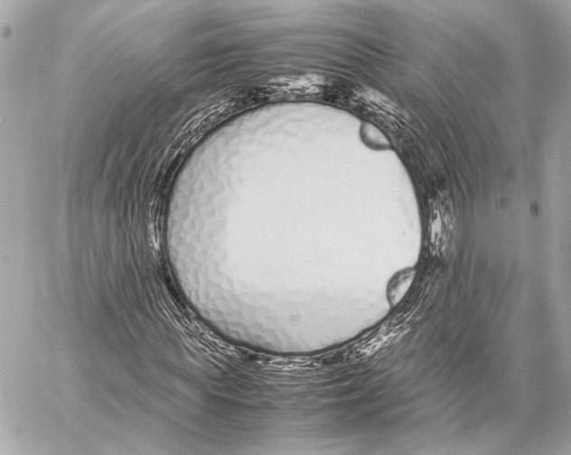 X0000057060819200510071404