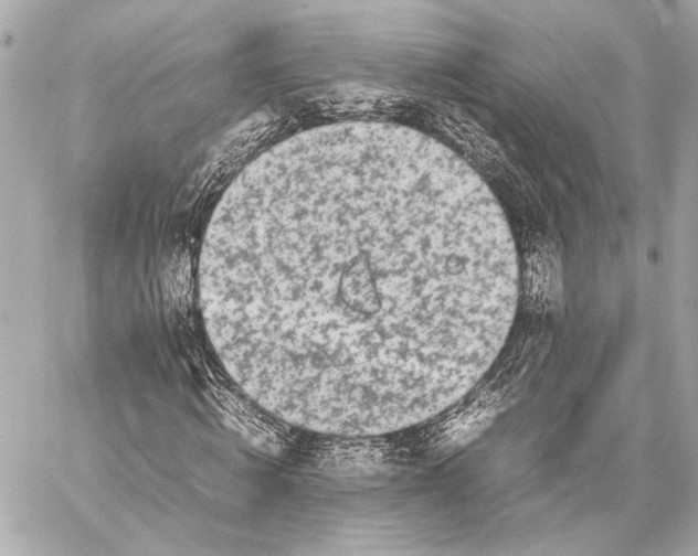 X0000057060820200510071404