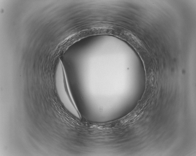 X0000057060821200510071404