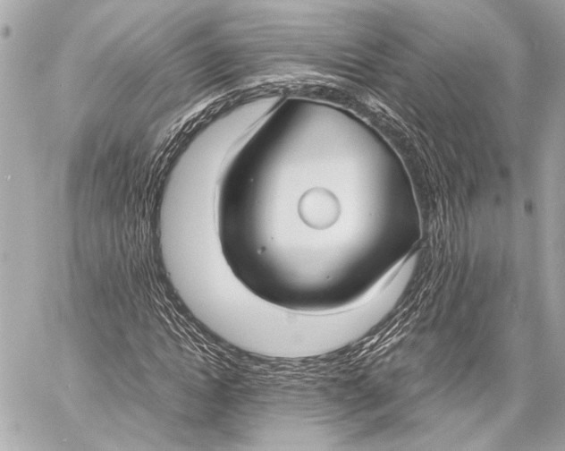 X0000057060822200510071404