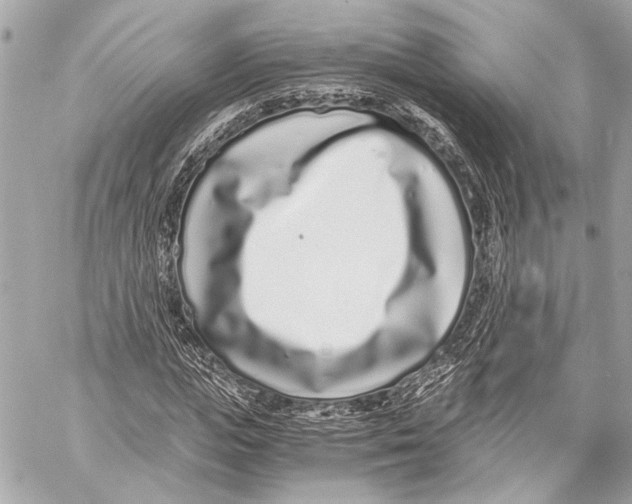 X0000057060823200510071404