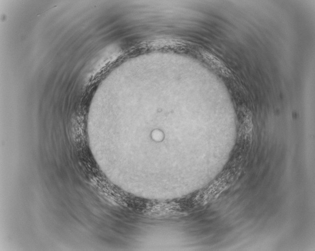 X0000057060824200510071404