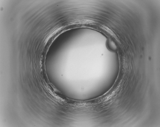 X0000057060826200510071404