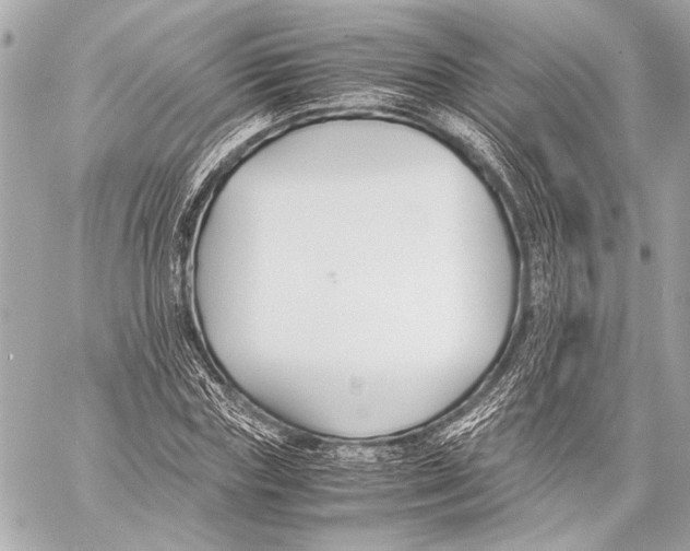 X0000057060827200510071404