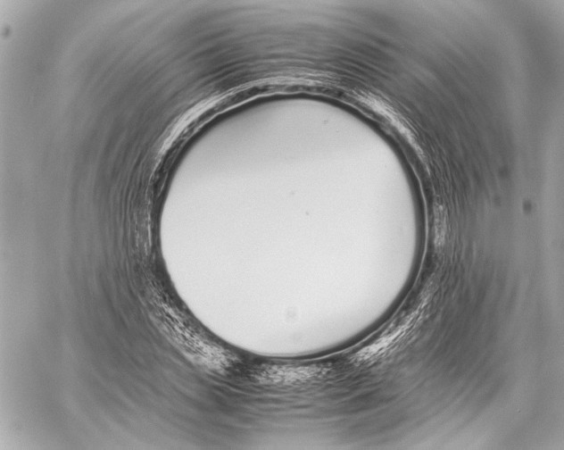 X0000057060829200510071404