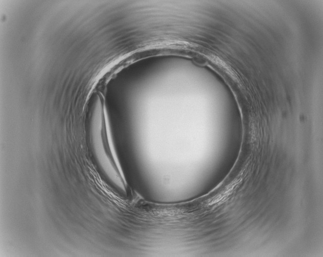 X0000057060830200510071404